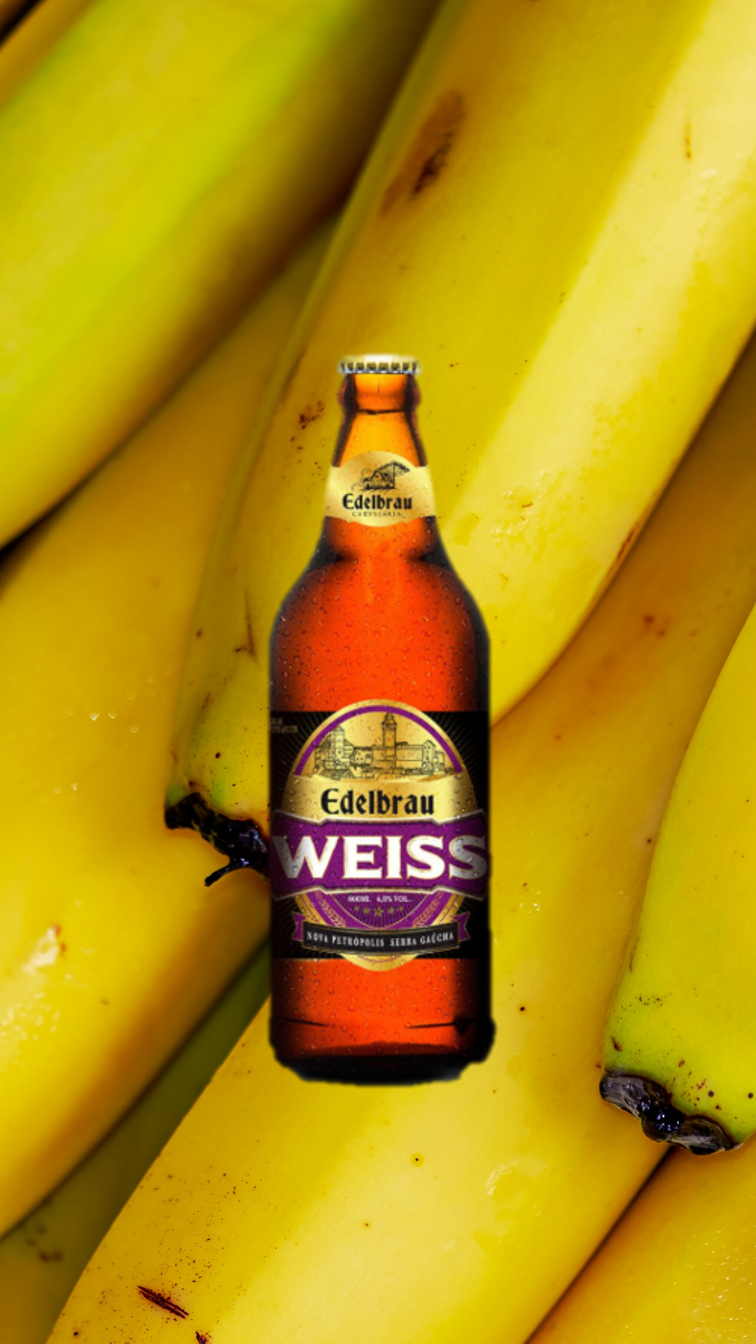 Edelbrau Weiss